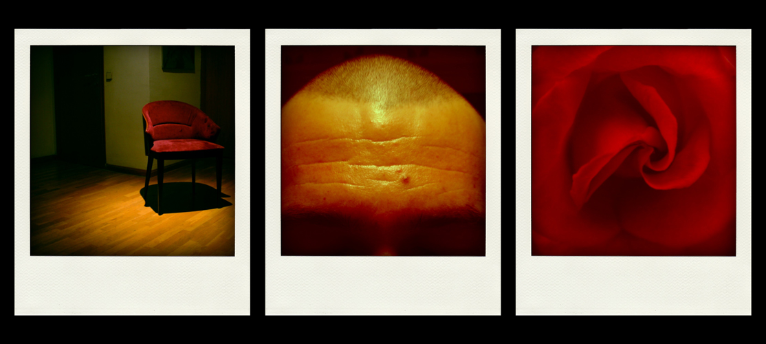 projects fake-polaroid_2011