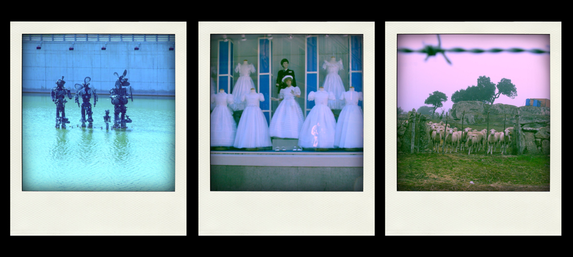 projects fake-polaroid_2011